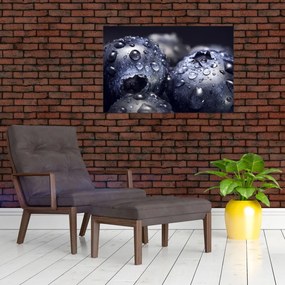 Tablou cu fructe cu picături de apă (90x60 cm)