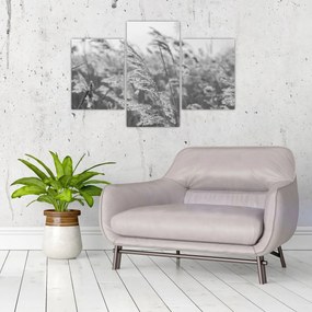Tablou - Iarba în vânt (90x60 cm)