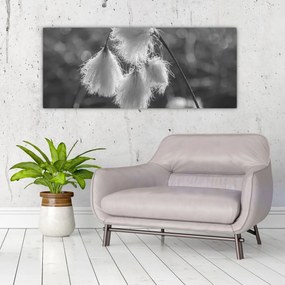 Tablou - Iarba de bumbac (120x50 cm)