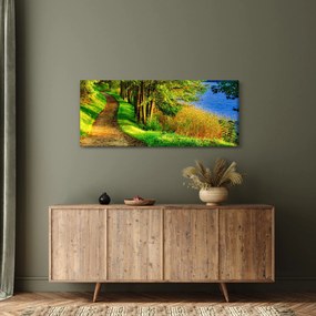 Tablou - poteci pe malul apei (120x50 cm)