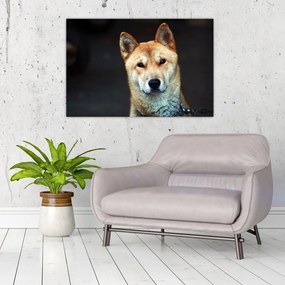 Tablou cu câine (90x60 cm)