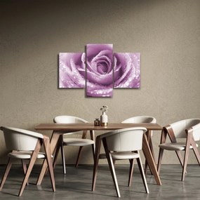 Tablou detaliu de floare de trandafir (90x60 cm)