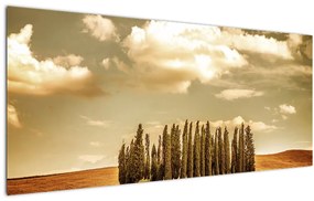 Tablou cu luncă (120x50 cm)