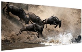 Tablou - Turmă de gnu (120x50 cm)