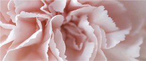Tablou - Detaliu flori (120x50 cm)