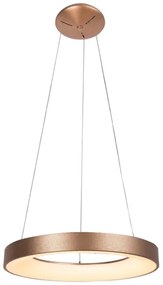 Rabalux - Lustră LED pe cablu CARMELLA LED/50W/230V