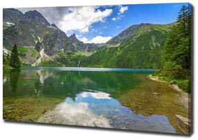 Imprimare tablou canvas Marine ochi tatry