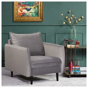 Fotoliu gri cu tapițerie din catifea Juli – Ropez