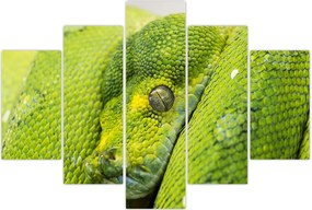 Tablou cu șarpe (150x105 cm)