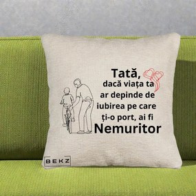 Cadou pentru Tata - Perna Personalizata Tata Nemuritor Bicicleta, 40x40 cm, Bej Canapea, Husa Detasabila, Perna Inclusa, BEKZ®