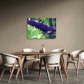 Tablou pe sticlă cu floare albastră (70x50 cm)