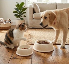 Bol pentru animale pentru animale de companie din gresie ceramică ø 16 cm – Casafina