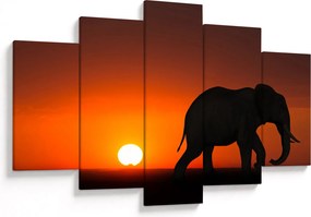 Tablou cu elefant în apus de soare (150x105 cm)