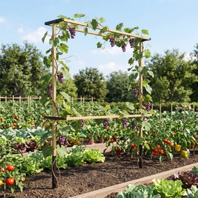 Outsunny Spalier metalic flexibil pentru fructe de pădure: zmeură, mure &amp; afine – spalier extensibil | Aosom Romania