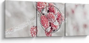 Tablou - Fructe congelate (cu ceas) (90x30 cm)