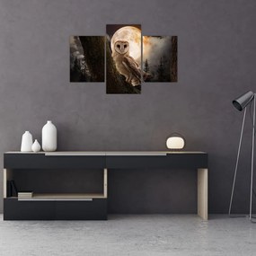 Tablou cu bufnița (90x60 cm)