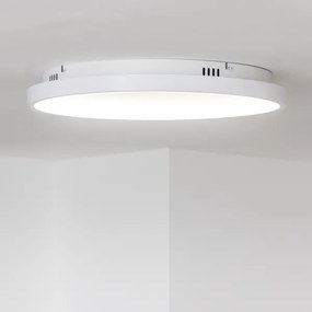 Brilagi - Plafonieră LED dimabilă FALCON SLIM, 42 W, 230 V, diametru 50 cm, albă + telecomandă