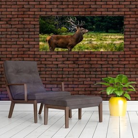Tablou cu cerb (120x50 cm)