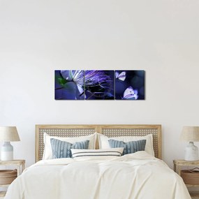 Tablou - Floare tropicală (cu ceas) (90x30 cm)
