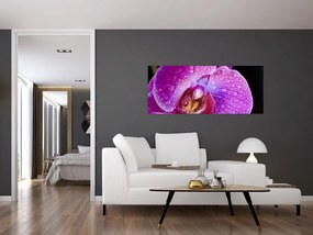 Tablou detailat cu floare de orhidee (120x50 cm)