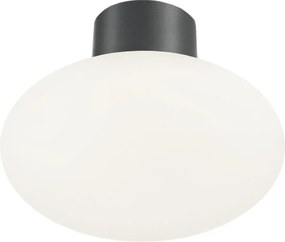 Ideal Lux - Plafonieră de exterior CLIO 1xE27/42W/230V IP44 antracit