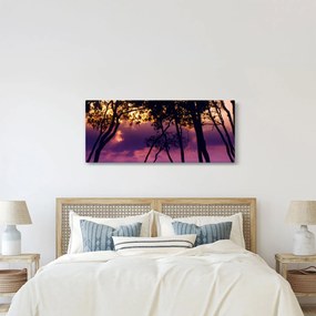 Tablou - Copaci la apus de soare (120x50 cm)