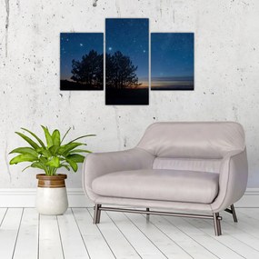 Tablou cu copaci noapte (90x60 cm)