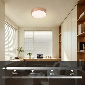 Brilagi - Plafonieră LED reglabilă POOL LED/24W/230V Ø 20 cm bronză +telecomandă