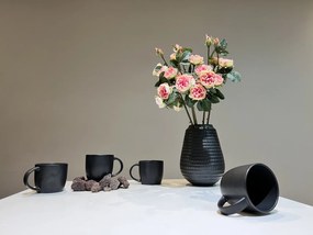 Set 48 Cani mari Vulcano (Negru-Carbon Mat, 380ml)