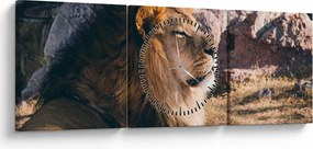 Tablou cu leul dormind (cu ceas) (90x30 cm)