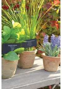 Plantă artificială (înălțime 27 cm) Chives – Esschert Design
