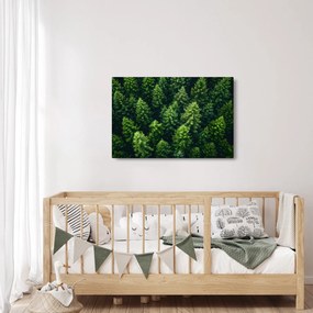 Tablou - Pădure (90x60 cm)
