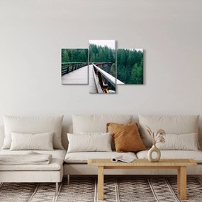 Tablou - Pod spre vârfurile copacilor (90x60 cm)