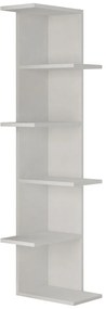 Biblioteca Saso White