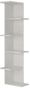 Biblioteca Saso White
