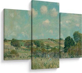 Tablou - Alfred Sisley, Meadow, reproducere (90x60 cm)