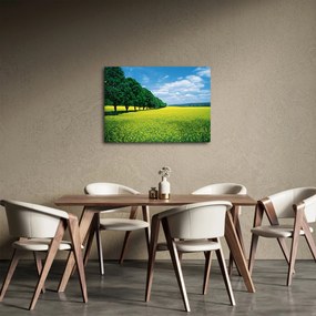 Tablou - Câmp cu alei (70x50 cm)