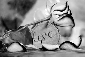 Tablou mărturisire romantică în design alb-negru Love