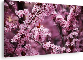 Tablou - Sakura roz (90x60 cm)