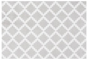 Covoraș intrare Zala Living Elegance, 50 x 70 cm, gri deschis