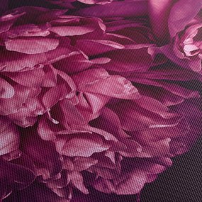Tablou - Floarea bujorului (90x60 cm)
