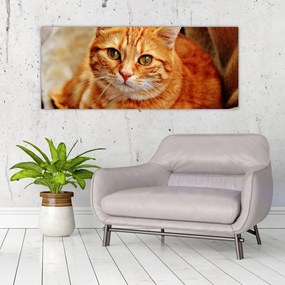 Tablou - Pisica tolenită (120x50 cm)