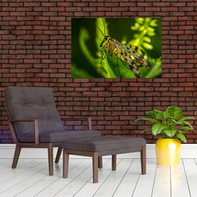 Tablou cu omide (90x60 cm)