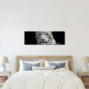 Tablou - Snow Leopard (cu ceas) (90x30 cm)