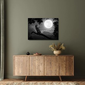 Tablou pe sticlă - Bufniță de noapte, alb și negru (70x50 cm)