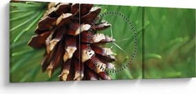 Tablou cu con (cu ceas) (90x30 cm)