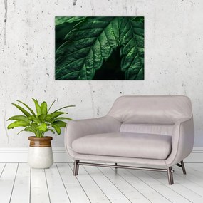 Tablou pe sticlă - Detaliu al foii (70x50 cm)