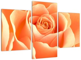 Tablou - trandafiri portocalii (90x60cm)