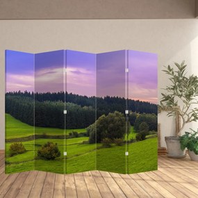 Paravan - Lunca (210x170 cm)