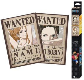 Set cadou One Piece - Nami & Robin